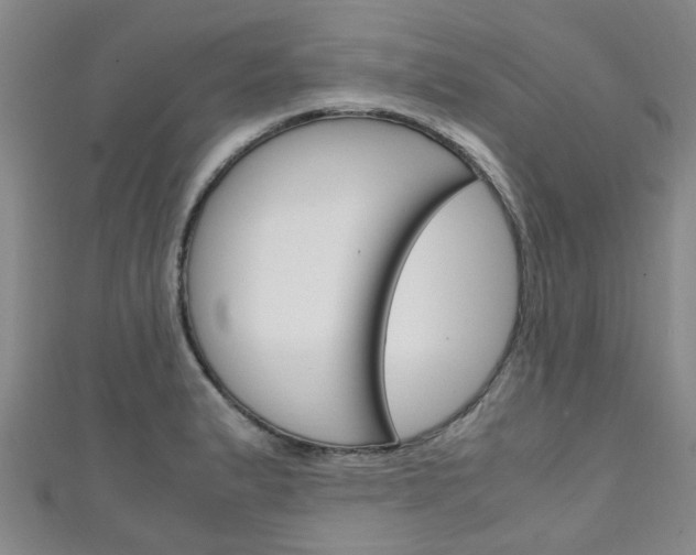 X0000111251183200907021013