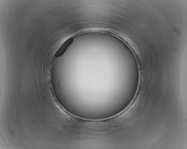X0000111251185200907021013