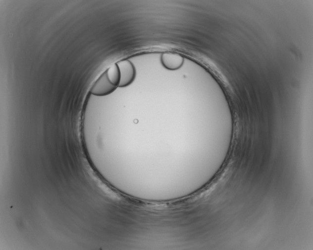 X0000111251186200907021013