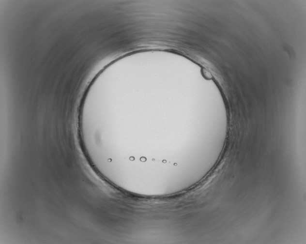 X0000111251187200907021013