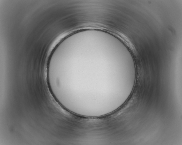 X0000111251188200907021013