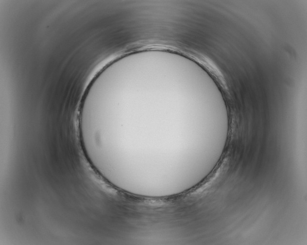 X0000111251190200907021013