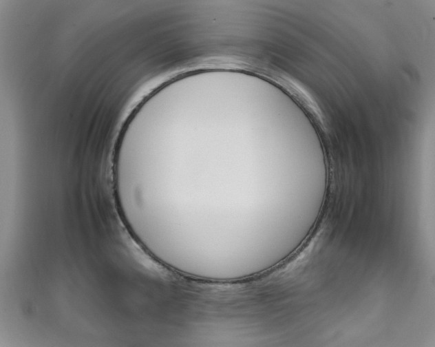 X0000111251192200907021013