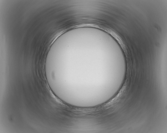 X0000111251193200907021013