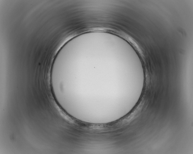 X0000111251194200907021013