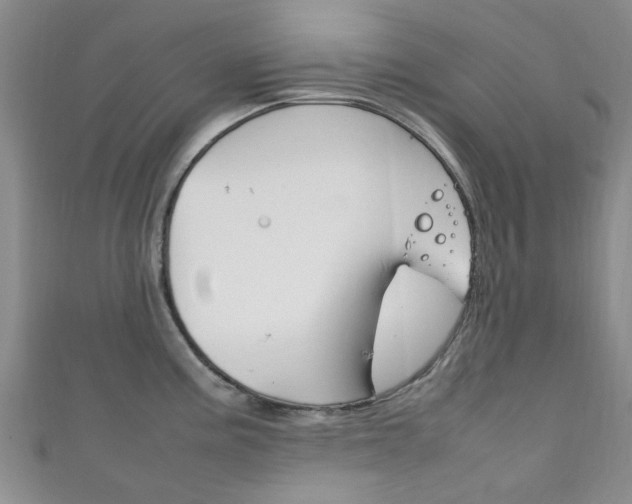 X0000111251195200907021013