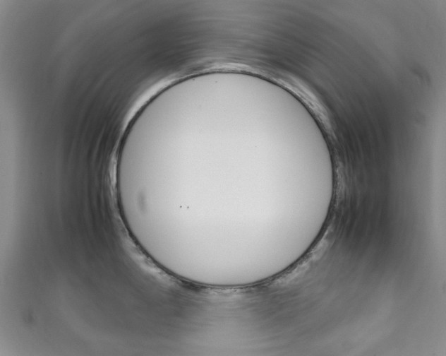 X0000111251198200907021013