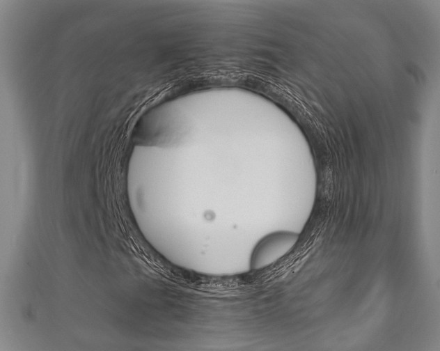 X0000111251201200907021012
