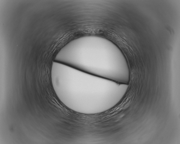 X0000111251202200907021012