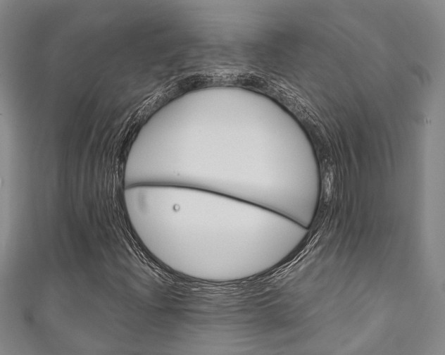X0000111251204200907021012