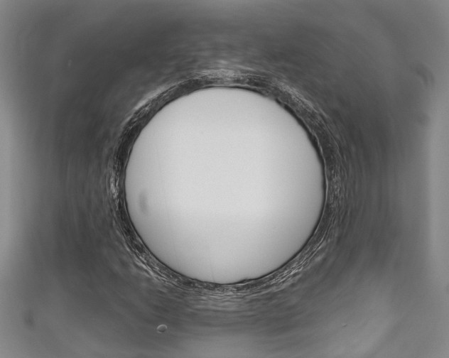 X0000111251206200907021012
