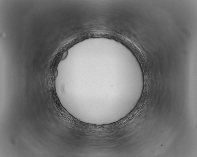 X0000111251207200907021012