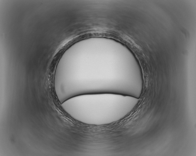 X0000111251208200907021012
