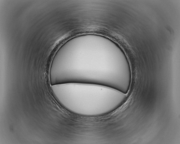 X0000111251210200907021012