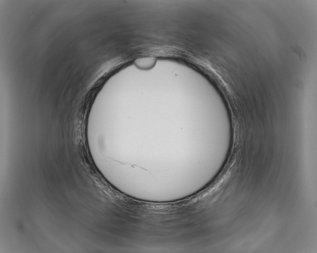 X0000111251211200907021013