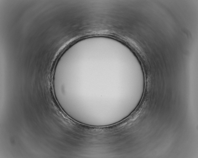 X0000111251212200907021013