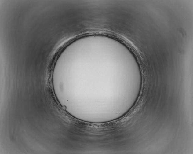 X0000111251215200907021013