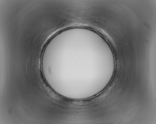 X0000111251220200907021013