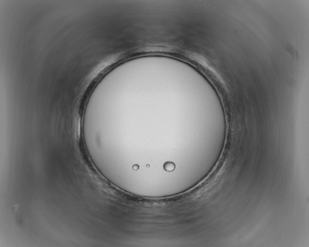 X0000111251221200907021013