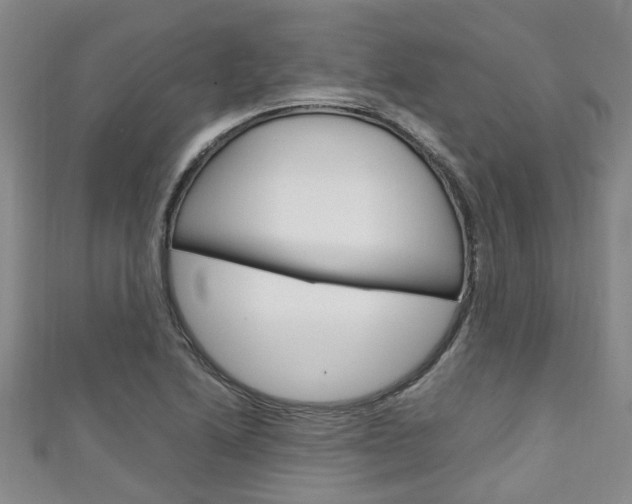 X0000111251222200907021013