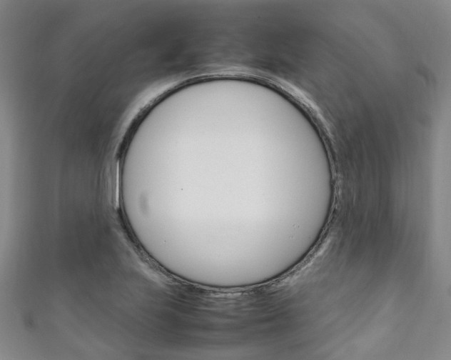 X0000111251223200907021013
