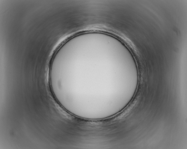 X0000111251224200907021013