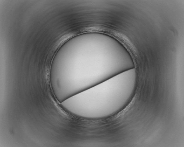 X0000111251225200907021013