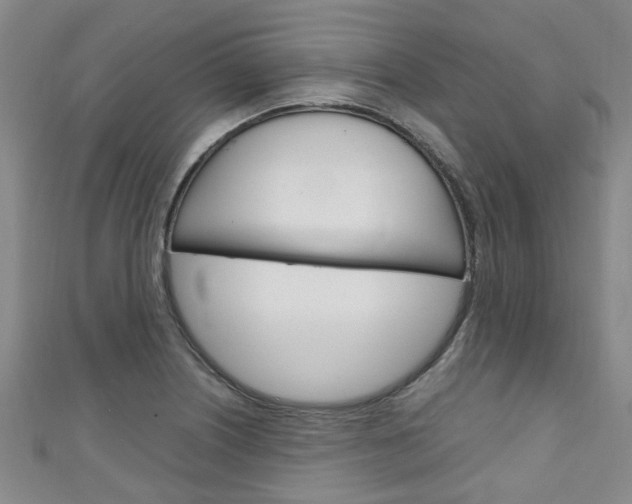 X0000111251226200907021013