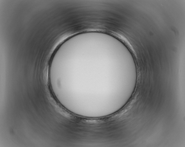 X0000111251227200907021013