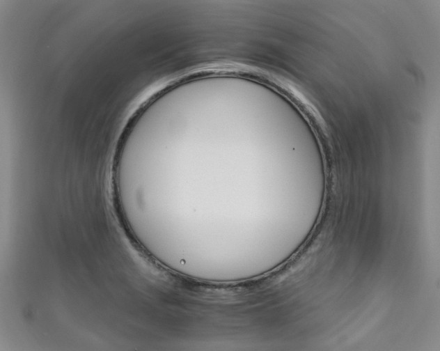 X0000111251229200907021013