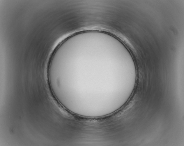 X0000111251230200907021013