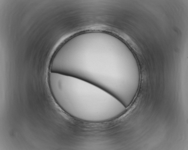X0000111251232200907021013