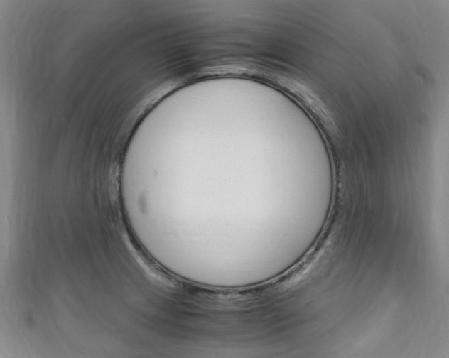 X0000111251233200907021013