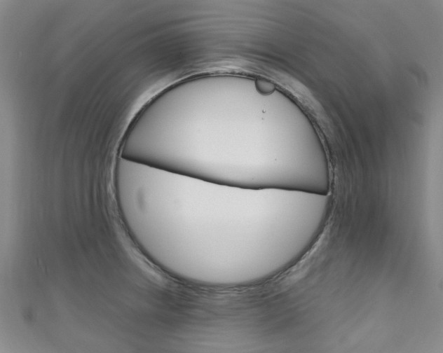 X0000111251234200907021013