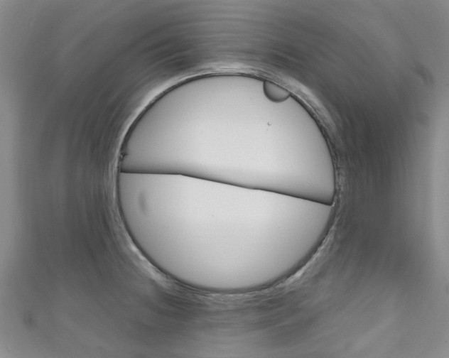X0000111251236200907021013