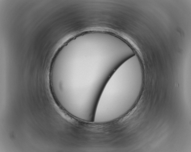 X0000111251237200907021013