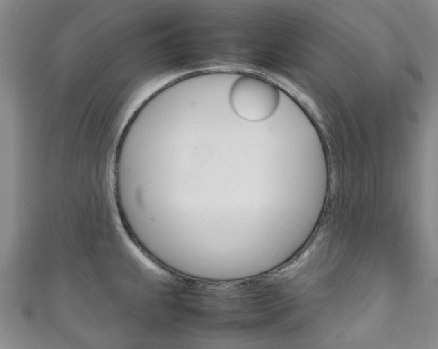 X0000111251239200907021013