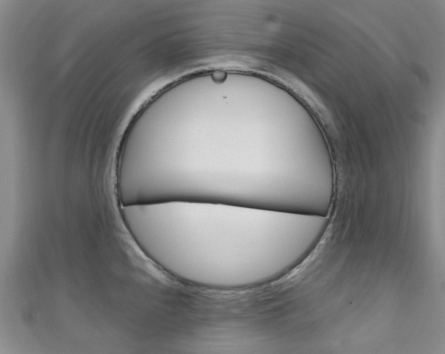X0000111251240200907021013