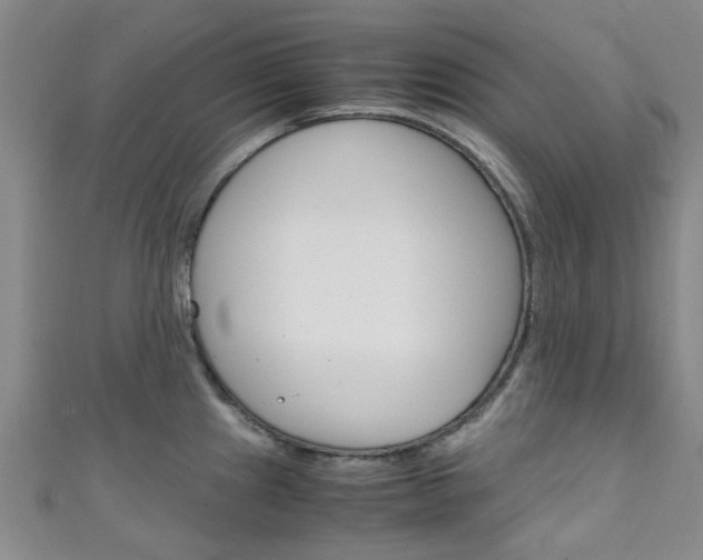 X0000111251241200907021013