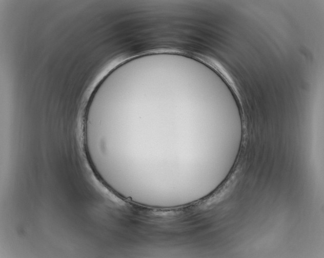 X0000111251243200907021013