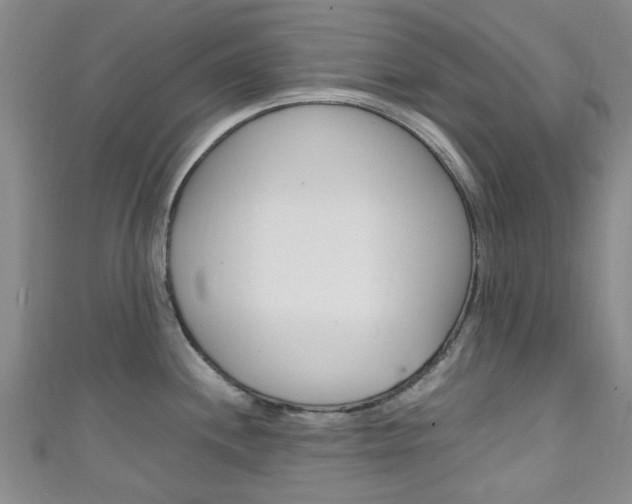 X0000111251244200907021013