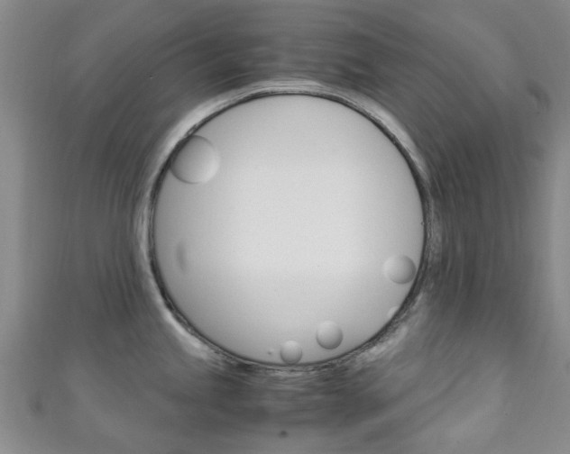 X0000111251245200907021013