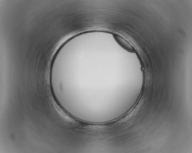 X0000111251246200907021013