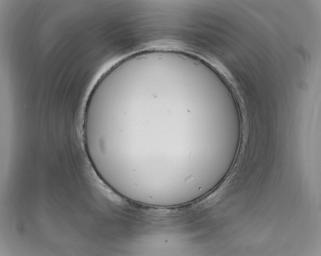 X0000111251248200907021013