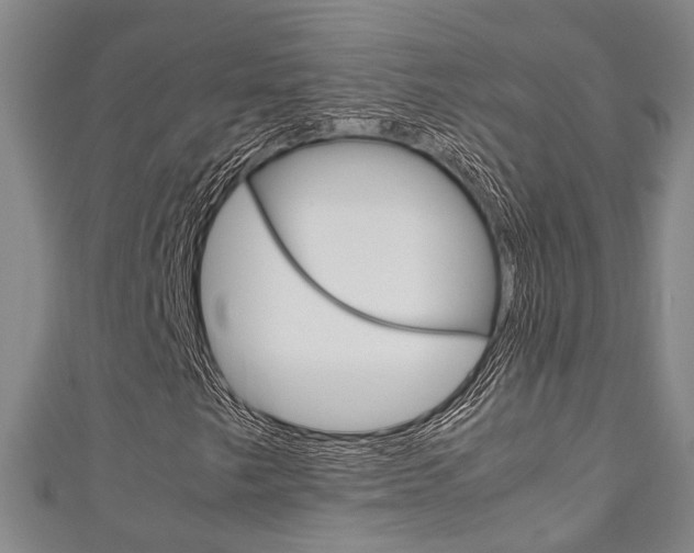 X0000111251249200907021012