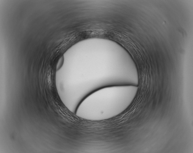 X0000111251250200907021012