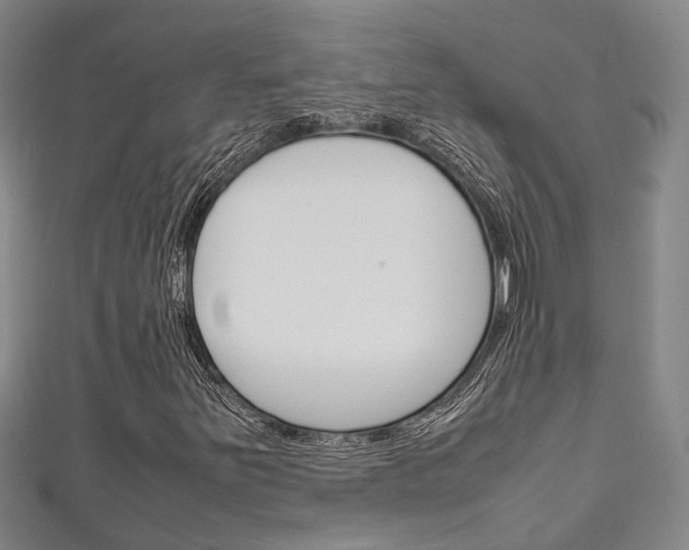 X0000111251251200907021012