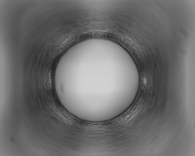 X0000111251252200907021012