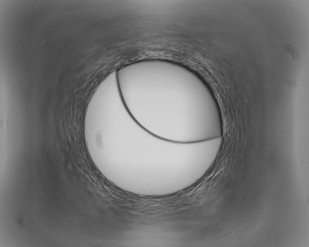 X0000111251253200907021012