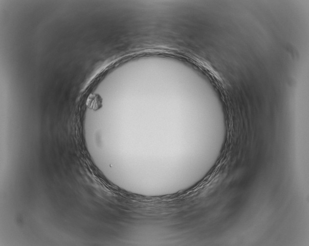 X0000111251256200907021012